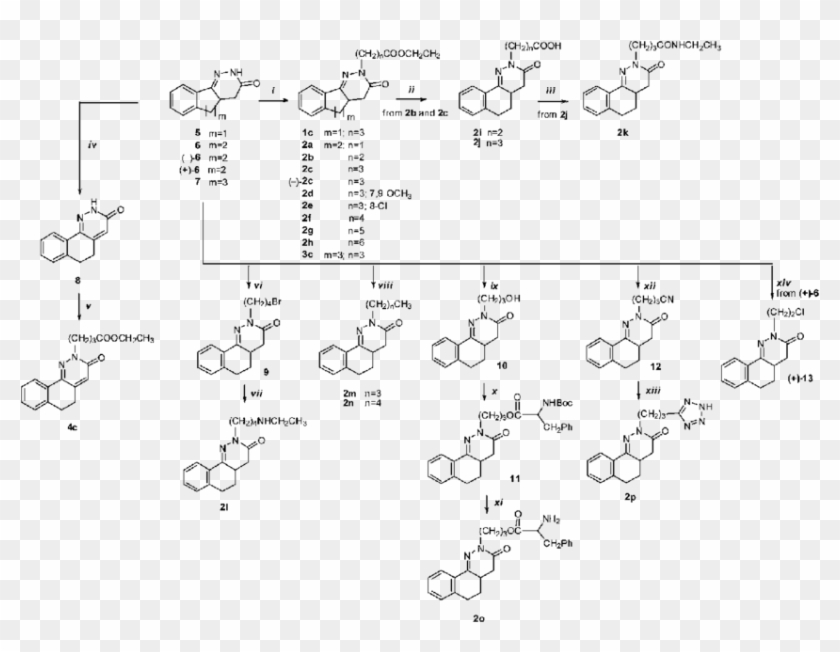 Scheme 1 Reagents And Conditions - Ch3 Cooch Ch2 Clipart