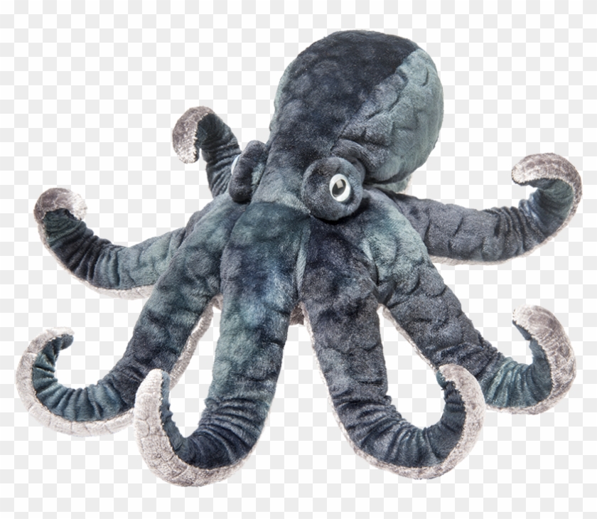 Winky Octopus Clipart