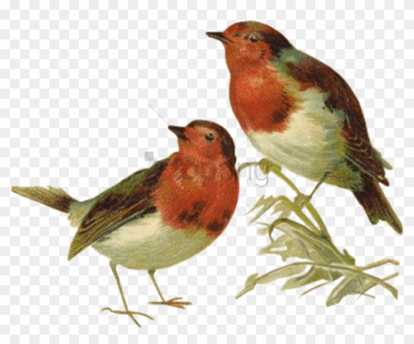 Free Png Victorian Birds Png Image With Transparent - Victorian Birds Clipart