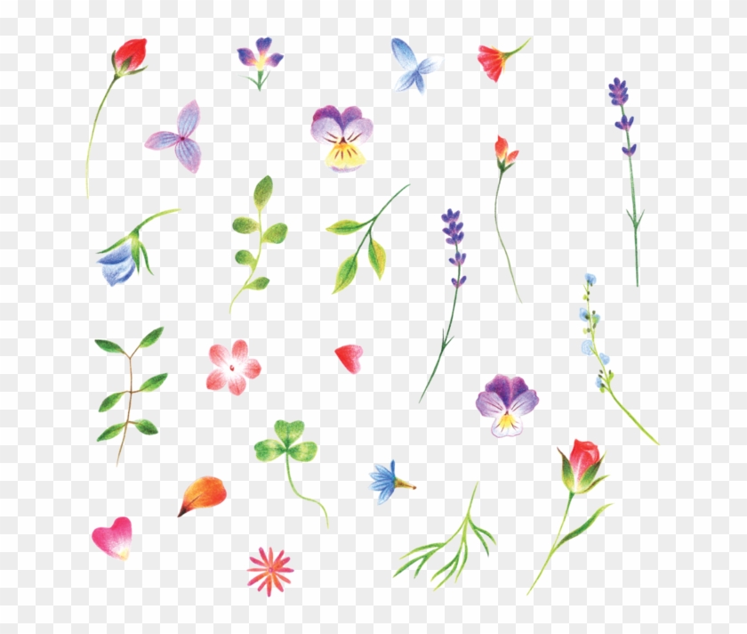 These Tiny Flowers By Jess Chen Have Completely Won Tiny Flowers Png Transparent Clipart Pikpng