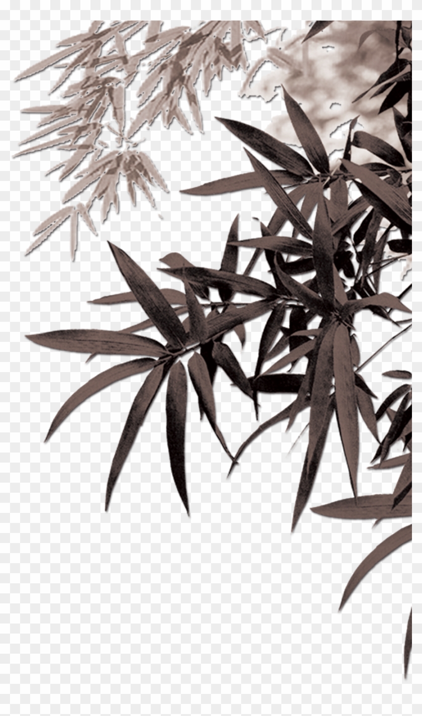 Bamboe Leaf Computer Ink Painting Leaves Transprent Bamboo Leaves Png Clipart Pikpng