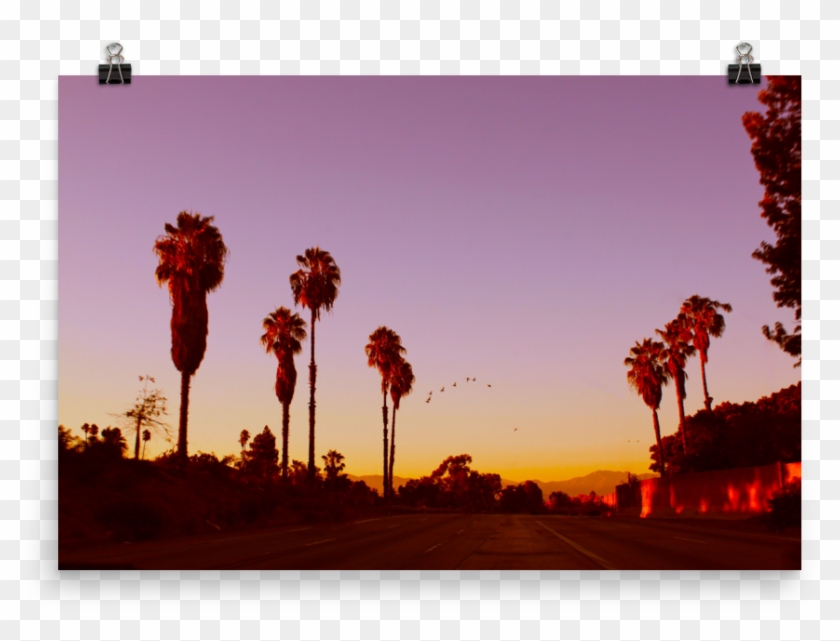 Lax-sunset Mockup Transparent Transparent , Png Download - Attalea Speciosa Clipart