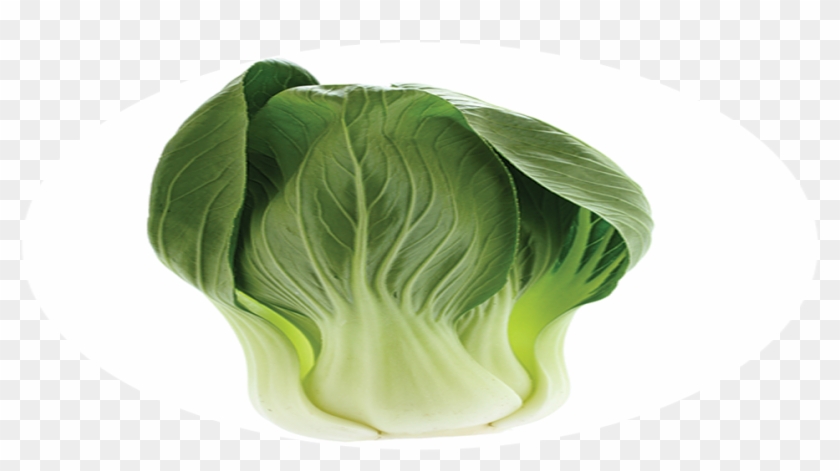 Brussels Sprout Clipart (#5132514) - PikPng