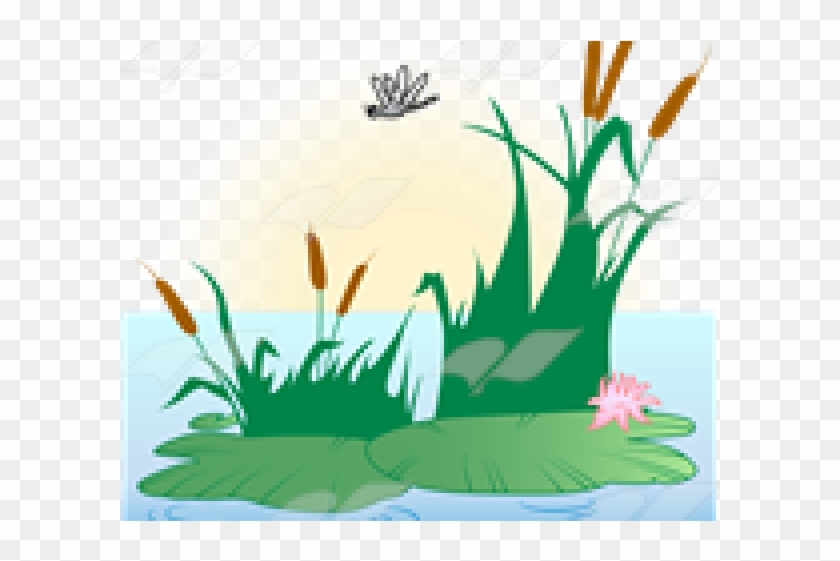 Lily Pad Clipart Pond Scene Illustration Png Download Pikpng