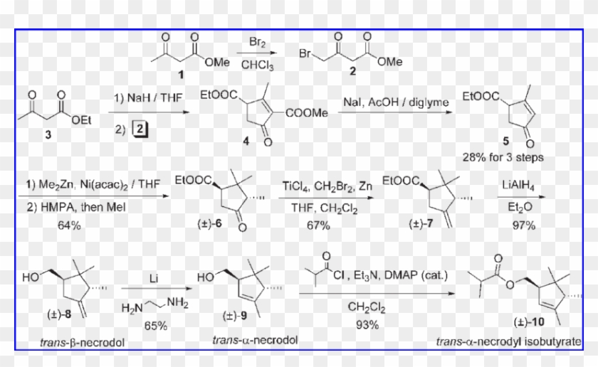 Synthesis Of Racemic Grape Mealybug Pheromone - Pheromone Synthesis Clipart