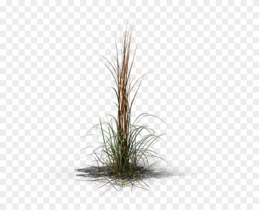 View In My Picture - Grass Clipart