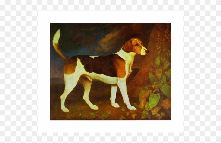 A Foxhound, Ringwod - George Stubbs Dog Paintings Clipart