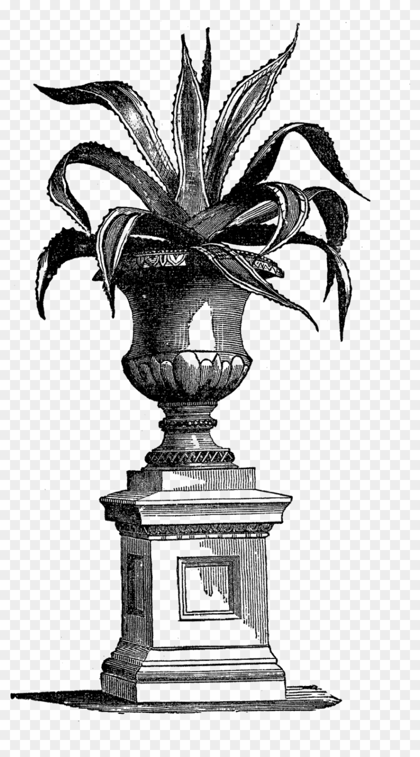 Digital Plant Image Transfer - Victorian Indoor Plant Pots Clipart #5277652