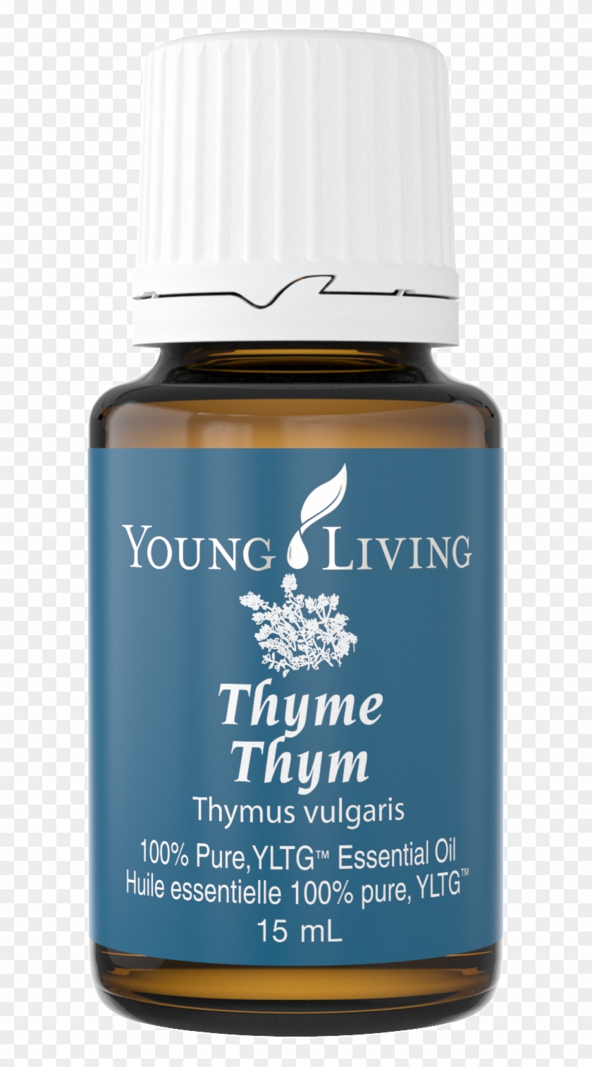 Thyme - Horse Clipart #5326724