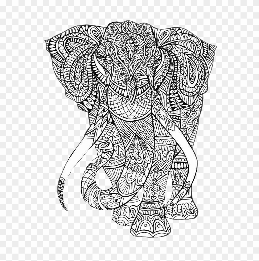 mandalas elefante sticker  printable animal colouring pages