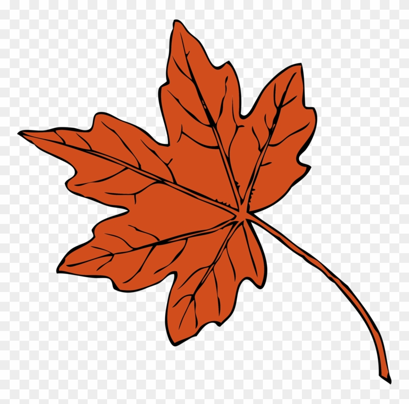 34 best ideas for coloring | Fall Leaves Drawing