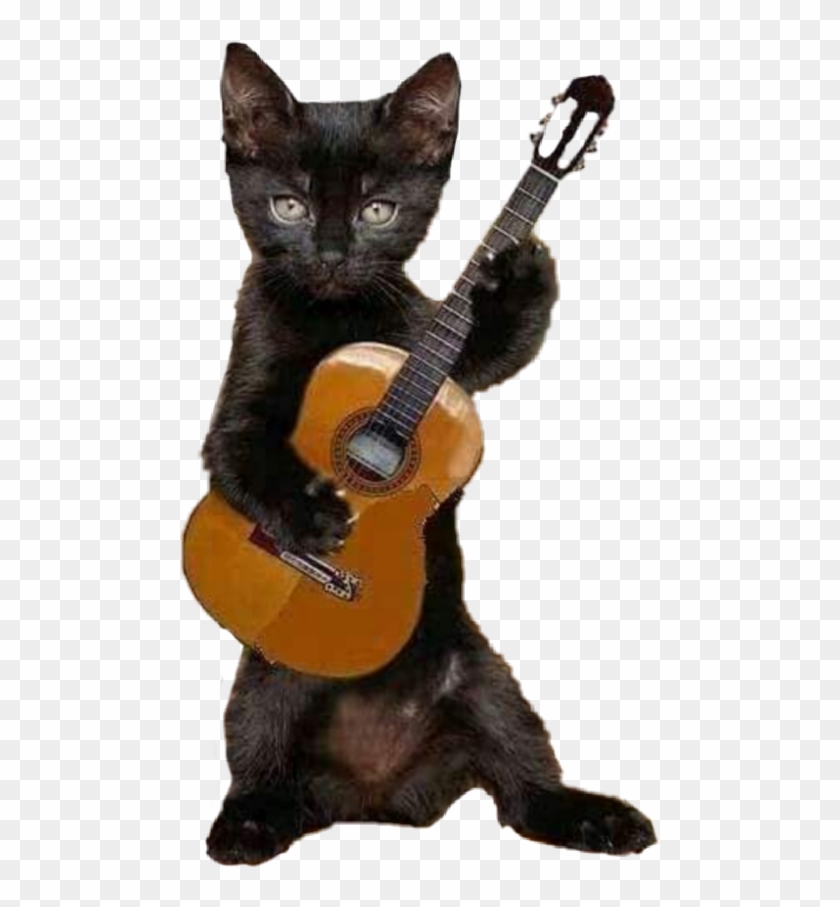 Flamenco Cat , Png Download - Cat With Guitar Happy Birthday Clipart