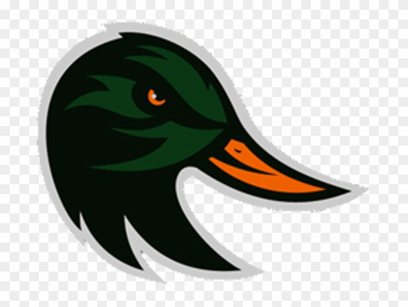 Download Duck Clipart Profile - Taylor Ducks Logo - Png Download Png ...