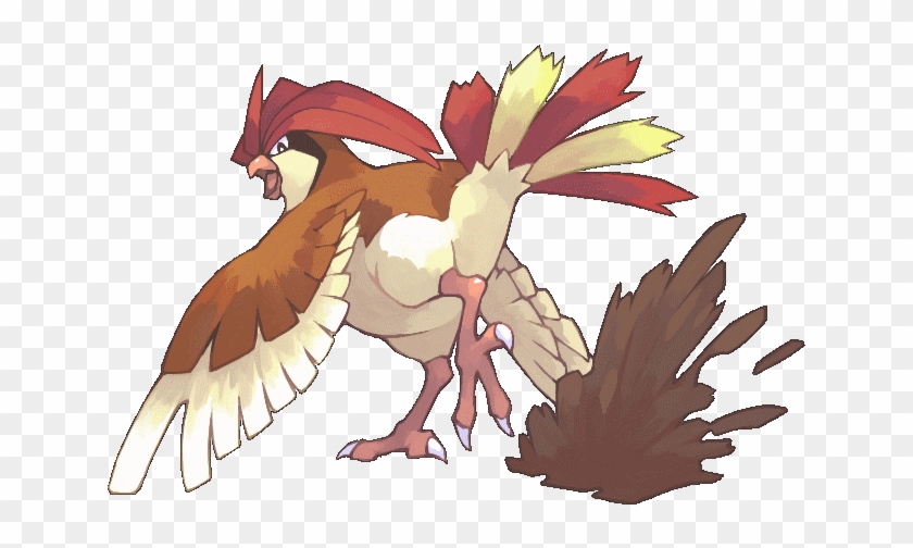 P Pidgeotto We Are Proud Of You ピジョン ポケモン Clipart Pikpng