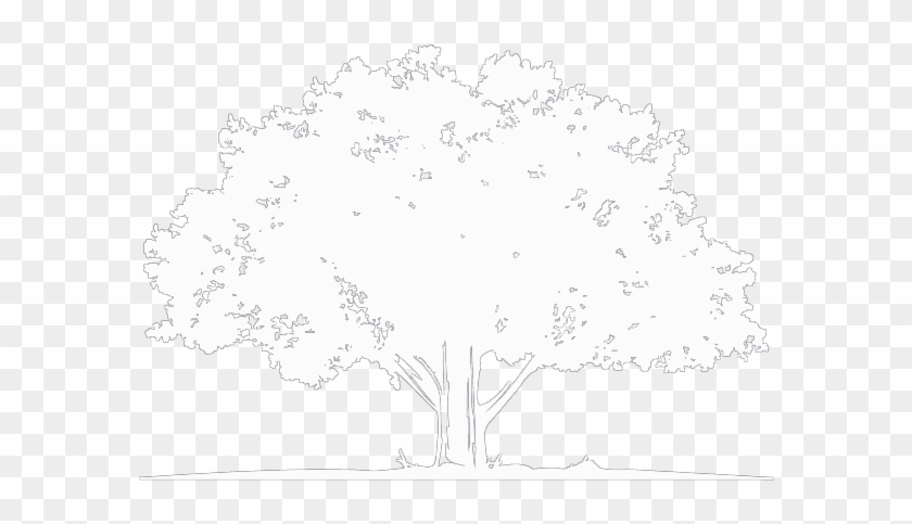 Dark And Moody Skies Fell Upon This Beautifully Intimate - Arbor Day 2018 Clipart