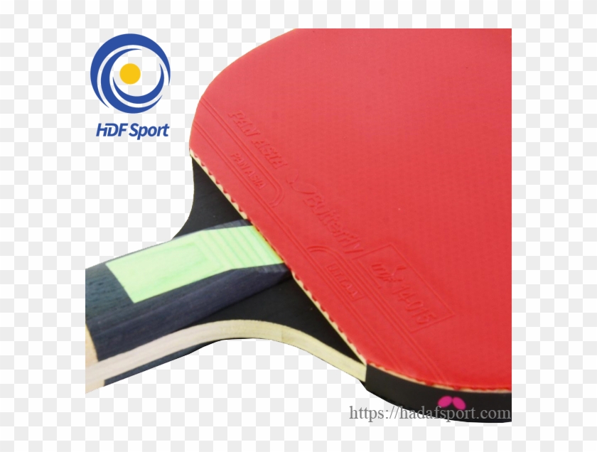 Butterfly Tiago Apolpnia Tax3 - Ping Pong Clipart #5785313
