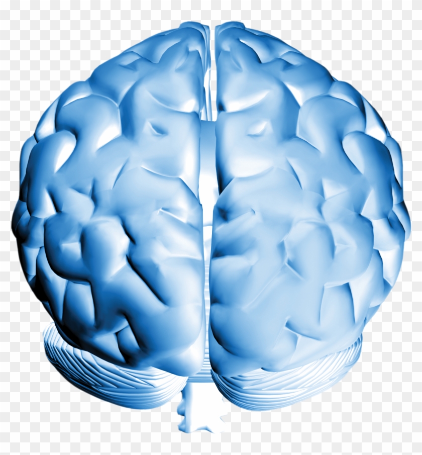 Brain - Super Brain Power Clipart (#603266) - PikPng
