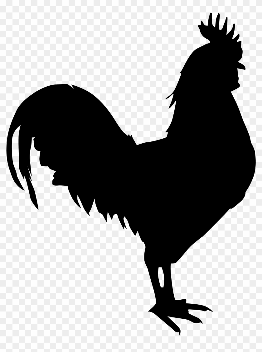 Download Download Chicken Silhouette Png Download - Gallo Png Clipart Png Download - PikPng