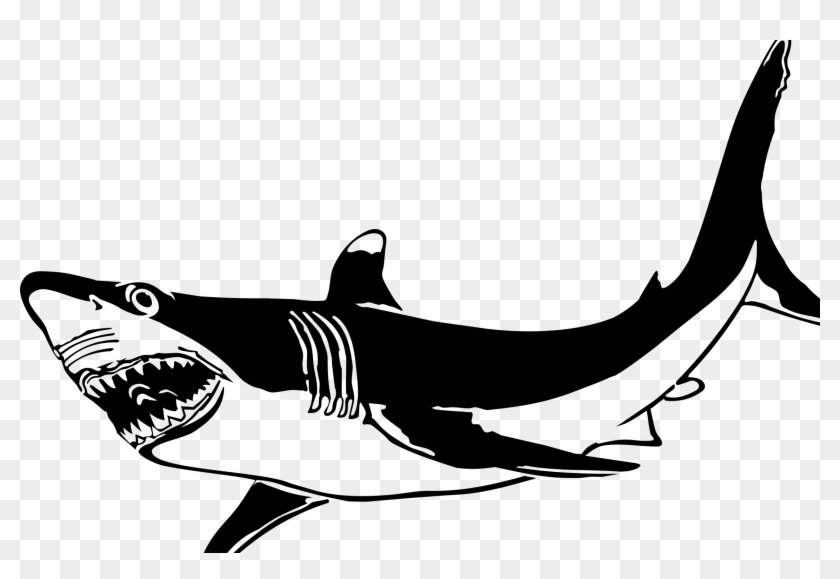 The Great White Shark By Picapica Clipart