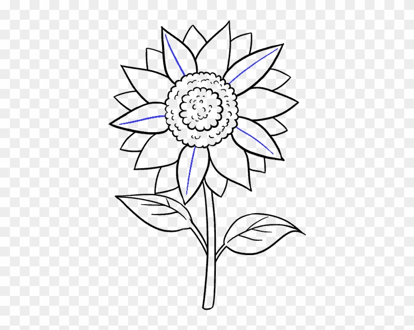 Download Download Vector Freeuse How To Draw A Sunflower Easy Step ...
