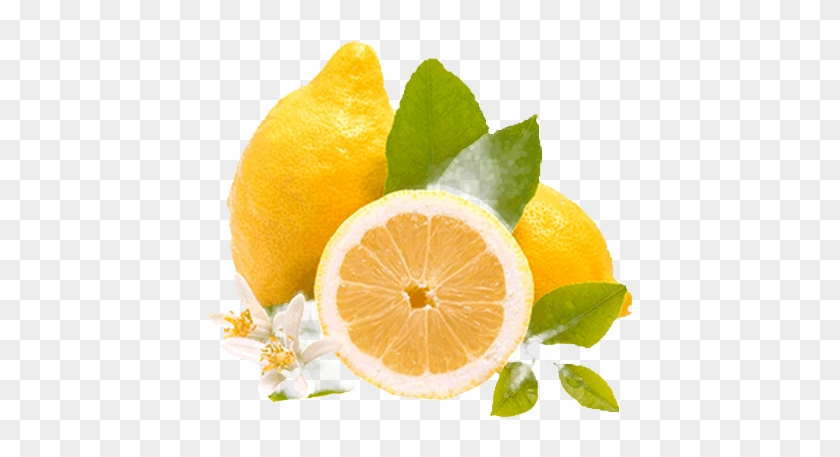 Download Limon Png Clipart Png Download - PikPng