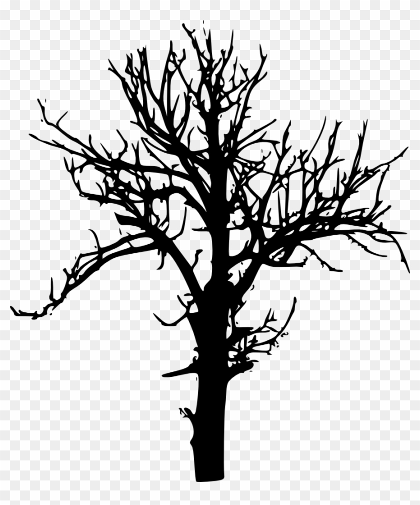 Free Download - Tree Silhouette Transparent Background Clipart