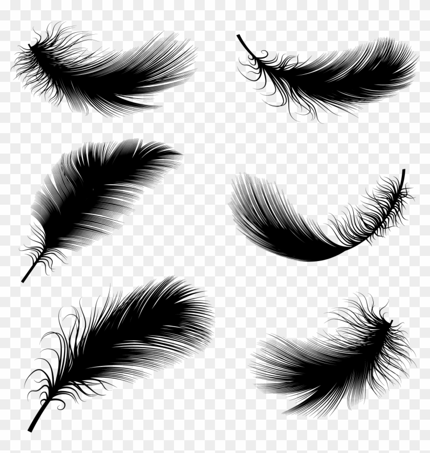 Download 2083 X 2083 18 0 - Floating Feather Drawing Clipart Png