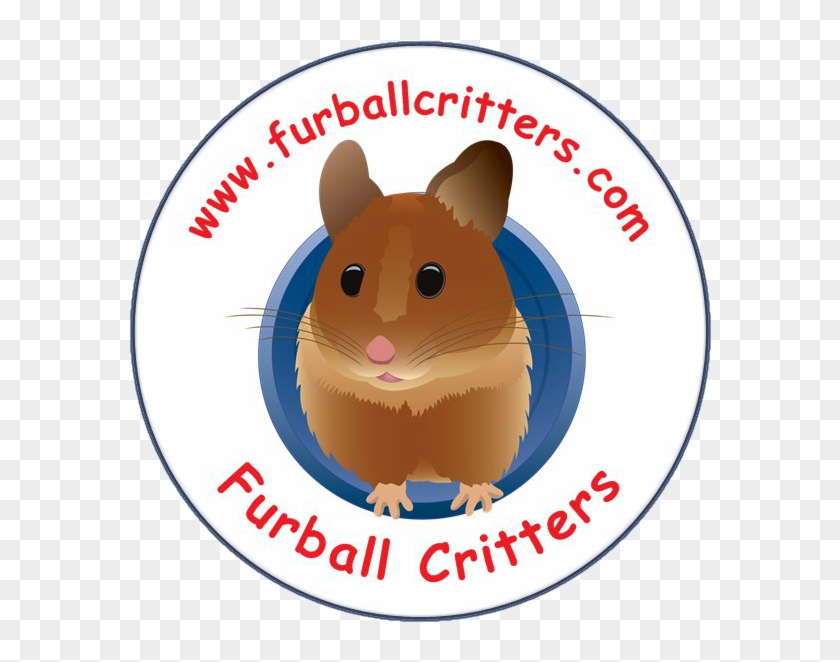 Furball Critters Hamsters Rats Chinchillas Santa Cruz - Rat Clipart