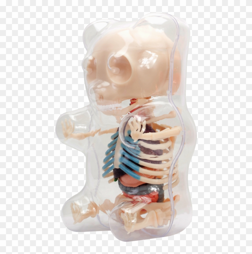 Gummy Bear , Png Download Clipart