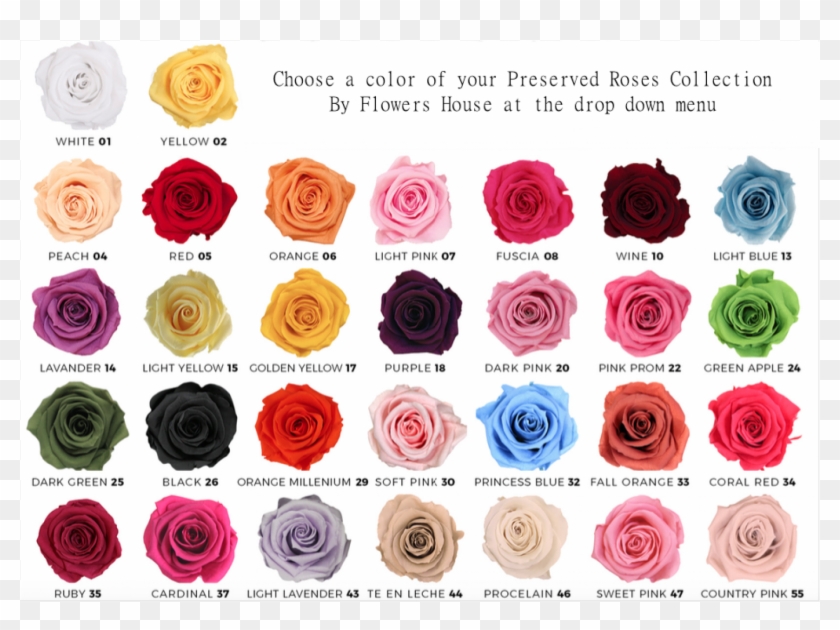 Flower House Forever Roses Small Box - Garden Roses Clipart (#926448 ...