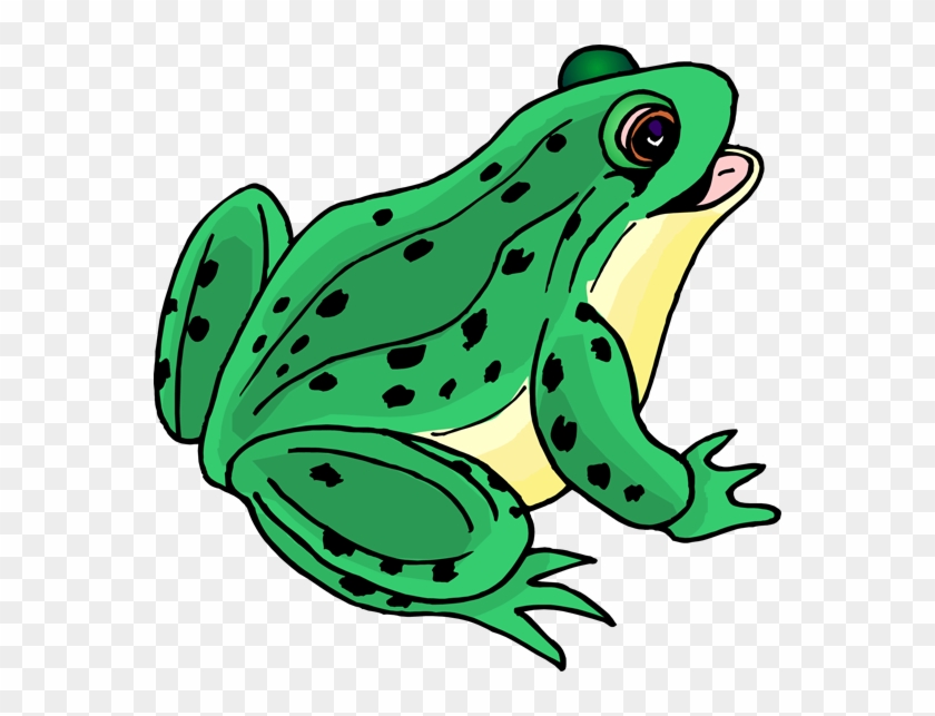 frog pictures animated