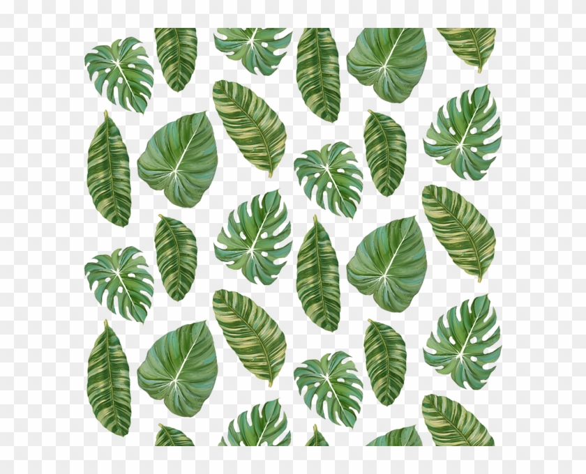 Banana Leaves Png Tropical Leaf Pattern Transparent Clipart 9644 Pikpng